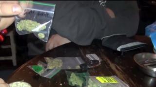 Traficul şi consumul de DROGURI au fost la modă, sezonul acesta, pe litoral!