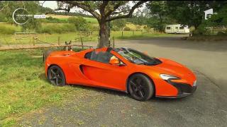 Caz INEDIT în Germania! Gestul nevinovat al unui măgăruş va fi dezbătut în instanță. Fapta lui îi poate costa scump pe stăpânii săi