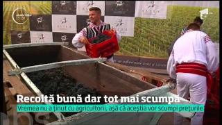 Observator de weekend