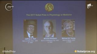 Au primit Nobelul după ce au reuşit să descifreze secretele ceasului biologic