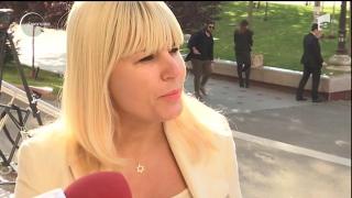 Elena Udrea, despre eliberarea lui Dorin Cocoş: 'Sper că este foarte bine şi sănătos'