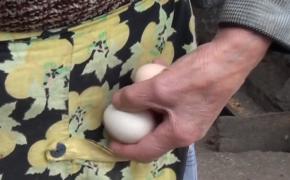 Ministrul Agriculturii i-a răspuns lui Varujan Vosganian, care calculase câţi bani produce un ou în drumul lui spre tigaie