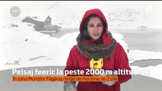 Observator 16 Weekend