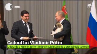 Vladimir Putin a primit un pui de câine de la omologul său din Turkmenistan!