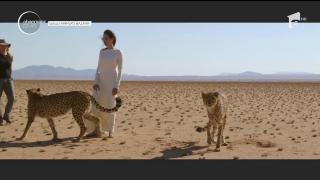 Angelina Jolie revine într-un pictorial inedit! Actriţa, într-un sanctuar din Namibia