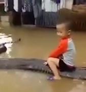 Video care face vâlvă pe Internet: piton de șase metri, animal de companie pentru un copil. Iar părinții îl filmează