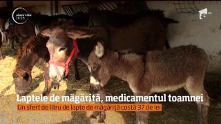 Observator 16 Weekend