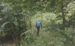 Bărbat sfâșiat de urs, chiar în apropierea casei sale. Îngrijorare privind înmulțirea incidentelor cu urși