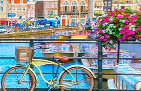 Hoţii romînii au furat numai din Olanda biciclete în valoare de 15 milioane de euro!