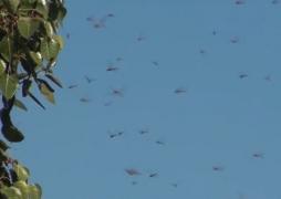 Apocalipsa începe ACUM! Avertismentul cercetătorilor după un studiu de 27 de ani ÎNGROZEŞTE planeta