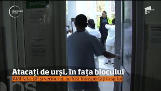 O fată de 14 ani a fost atacată de urs, chiar în faţa blocului! Mergea spre şcoală, când animalul i-a ieşit în faţă