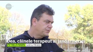 Dea, câinele terapeut al Jandarmeriei! A învăţat să lucreze cu cei mici, chiar dacă ei au deficienţe grave, nu pot vorbi sau nu aud