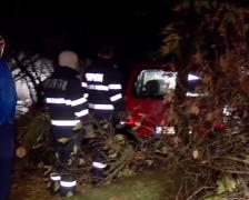 Vântul puternic a făcut PRĂPĂD în Capitală! Peste 120 de copaci au fost doborâţi de rafale şi trei persoane au fost RĂNITE!