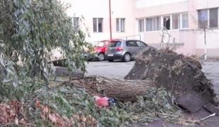 Furtunile violente au lovit România. Meteorologii avertizează că este doar începutul! Trebuie să ne pregătim de un frig năprasnic