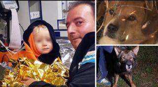 Salvată de doi câini, neglijată de părinţii care ar fi băut. Decizie dură în cazul fetiţei care a fost pierdută de familie, într-o pădure din Prahova