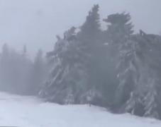 Meteorologii avertizează: viscolul și ninsoarea se întețesc în această noapte și dimineață