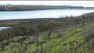 Trei italieni riscă ani buni după gratii, după ce au fost prinşi că împuşcau raţe în Delta Dunării