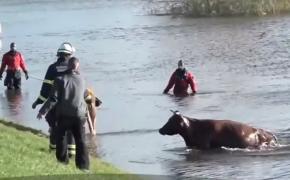 O biserică românească din Cehia a fost distrusă de o furtună violentă