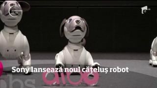 Sony a lansat o nouă versiune a căţeluşului robot Aibo