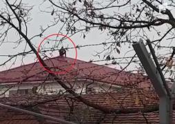 Protest inedit la penitenciarul din Vaslui! Un deţinut s-a urcat pe acoperişul închisorii (VIDEO)