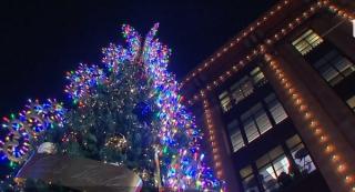 Pregătiri pentru sărbători! Designerii Dolce and Gabana au aprins luminiţele de Crăciun la Londra