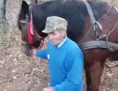 Bărbat de 75 de ani, prins la furat de lemne! Ce explicaţii le-a dat bătrânul oamenilor legii