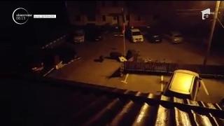 Urşii ajung tot mai des pe străzile oraşelor, în căutarea hranei! Oamenii sunt disperaţi, dar autorităţile nu se grăbesc să ia măsuri