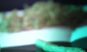 Un student a ajuns în stare gravă la spital, după ce a consumat etnobotanice. Diagnosticul şocant făcut de medici (VIDEO)