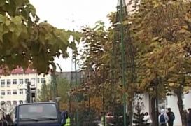 Cel mai scump brad de Crăciun din România riscă să nu mai fie expus de sărbători, în Târgu Jiu!