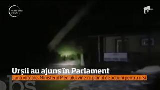 Observator 16 Weekend