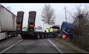 Scenă de groază la Alba-Iulia. Un şofer a fost rănit, iar animalele pe care le transporta au murit pe şosea, într-un carambol