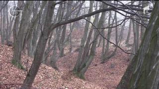 Apar noi detalii în cazul dirijorul găsit mort pe o stradă Cluj. Tânărul ar mai fi încercat să se sinucidă (VIDEO)