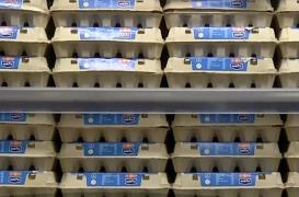 Petre Daea a reclamat la Consiliul Concurenţei creşterea preţului la ouă! Ministrul Agriculturii a cerut o anchetă