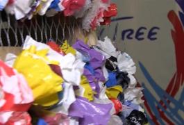 Timişorenii vor avea brazi reciclabili de sărbători! Cum arată alternativa eco a pomului de Crăciun