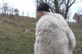 Cel mai bătrân angajat din România. Badea Ștefan are carte de muncă la vârsta de 100 de ani