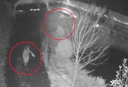 Urmărire de coşmar, surprinsă la Sovata! O femeie a fost alergată de un urs în centrul staţiunii. Animalul flămând a mai dat un atac