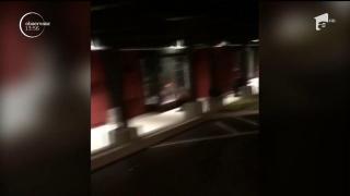 O familie de urşi din California nu a mai avut răbdare până să prindă ofertele de Black Friday