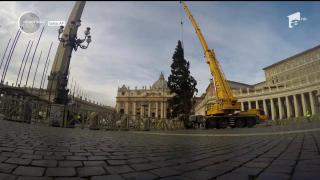 Pregătiri pentru Crăciun în toi la Vatican! Un brad adus din Polonia a fost montat în Piaţa San Pietro