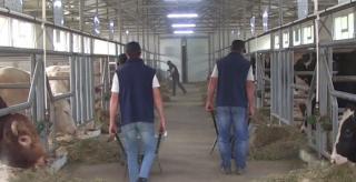 Criză uriaşă de muncitori calificaţi. Sunt sute de locuri de muncă disponibile, dar nimeni nu vrea să le ocupe