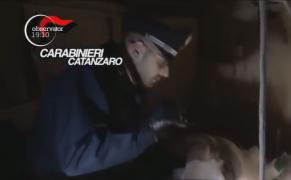 Monstrul italian care a ţinut sclavă o româncă timp de 10 ani într-o baracă şi a torturat-o cu sălbăticie, pare că s-a lăsat inspirat de Joseph Fritzl