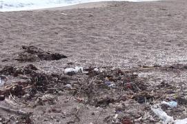 Tone de deşeuri sufocă plajele de pe litoralul românesc