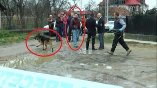 Momentul în care principalul suspect al triplei crime din Satu Mare îşi trădează spaima în faţa poliţiştilor. Comportamentul lui bizar la percheziţii