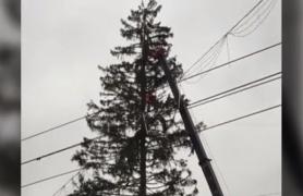 La Chişinău, pomul de Crăciun aduce scandal în locul atmosferei de sărbători