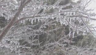 Val polar peste România. Meteorologii anunță că urmează fenomenul de ”ploaie înghețată”