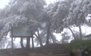 Peisaj de poveste în pădurile din estul Chinei, în urma unui fenomen meteo