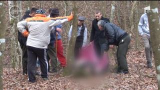 Un bărbat de 42 de ani din Argeş a murit sfâşiat de urs, sub ochii îngroziţi ai prietenilor, la o partidă de vântătoare