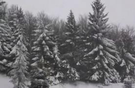 Meteorologii au anunţat ce ne aşteaptă de Sărbători. Ce şanse sunt să ningă de Crăciun