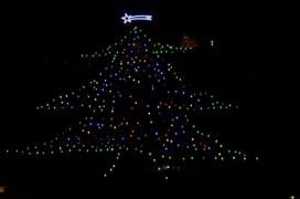 Roma are cel mai urât brad de Crăciun: Pomul de 50.000 de euro s-a veştejit chiar înainte de sărbători (Video)