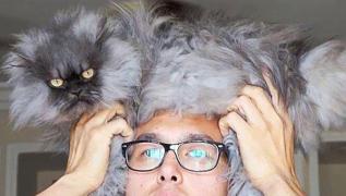 Iarna a venit cu o nouă modă! Căciula-pisică face furori pe Internet (Video)