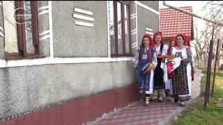 În Banat, bradul se împodobeşte cu nuci, colaci şi spice de grâu, ca pe vremuri